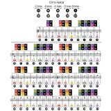 Stickers Adhesivos Calcos Para Piano Organo Notas Musicales